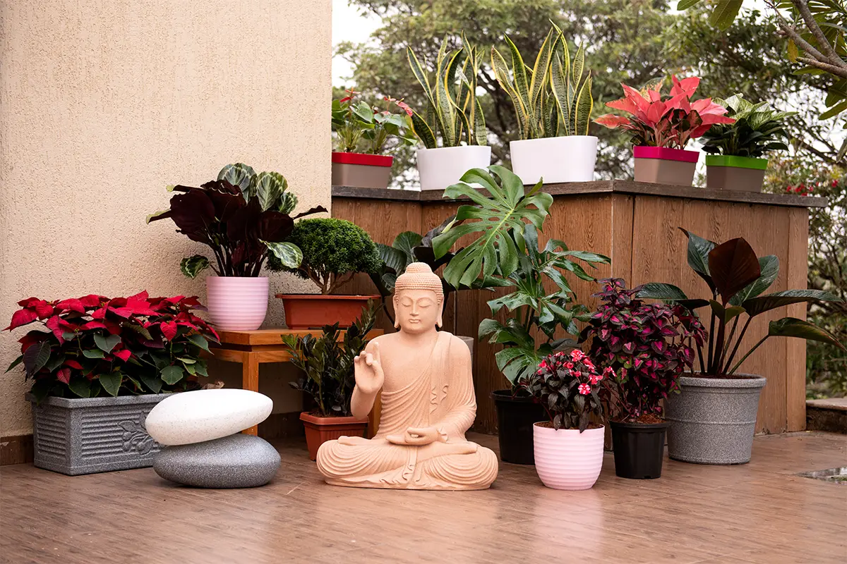Low Maintenance Plants Best for Indoors