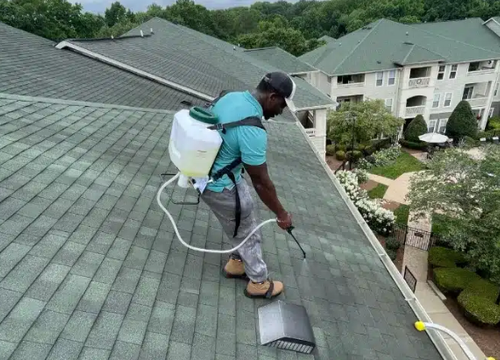 Expert Roof Cleaning Near Me for Moss, Dirt and Stubborn Stains