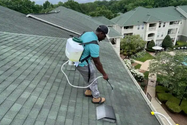 roof cleaning near me